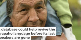 There are fewer than 100 speakers of the Arapaho language today. Mark Makela/GettyImages